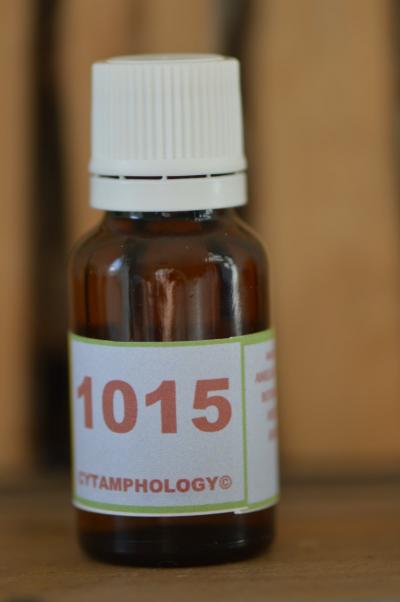 1015 la production du cortisol