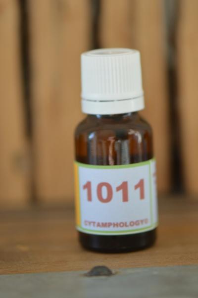 1011 la circulation veineuse