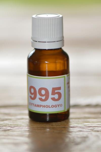 995 les récepteurs visuels, la rétine