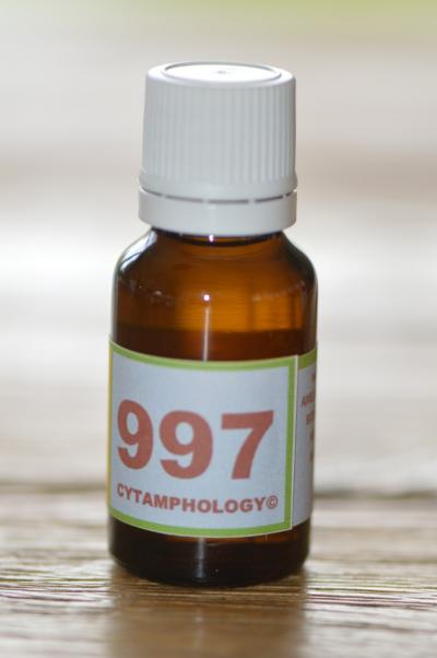 997 le déficit en vitamine B12