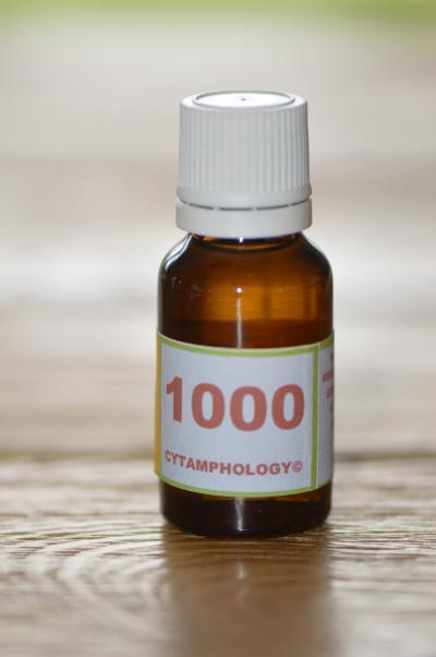 1000 la dermatite atopique canine