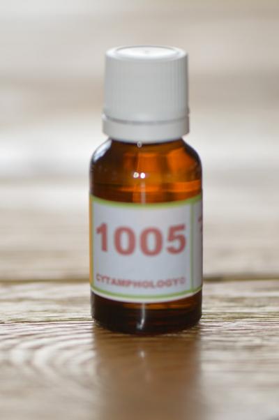 1005 la régulation des sécrétions