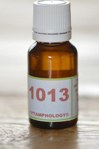 1013 la myotonicité