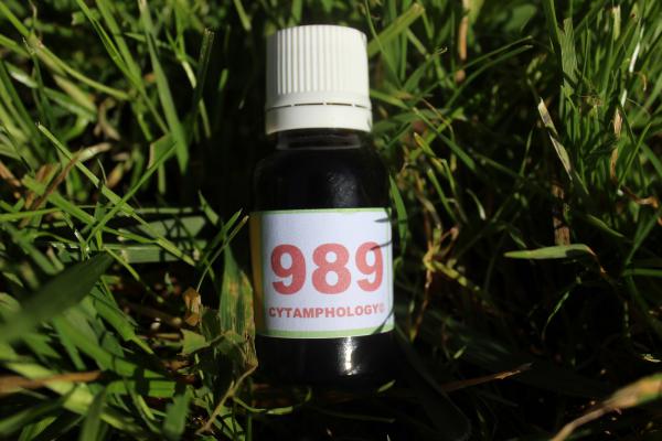 989 Taux d'immunité et plaquettes