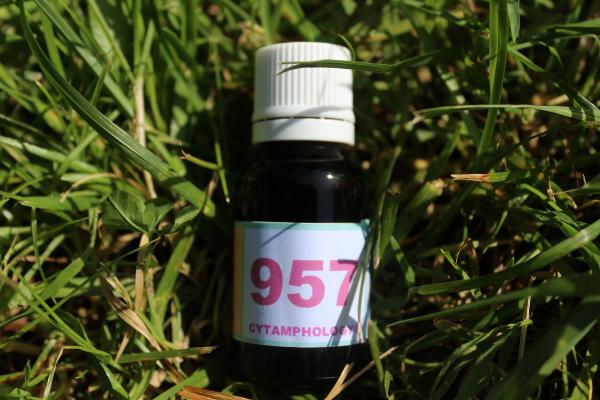 957 Plyarthrite rhumatoïde