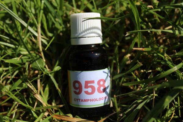 958 Fourbure du cheval