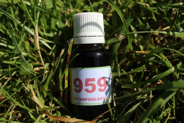 959 Arthrite septique du poulain