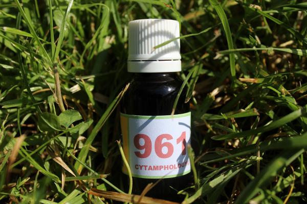 961 Hypersensibilité