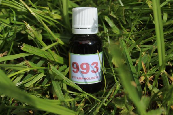 993 Equilibre neurologique