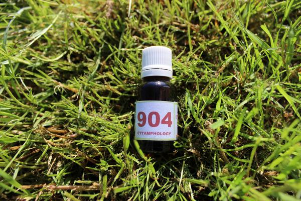 904 Piqures d'insectes volants