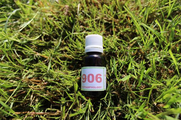 906 Parasites intestinaux