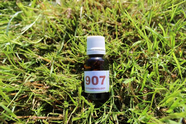 907 Parasites externes