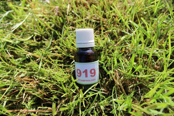 919 Mal des transports