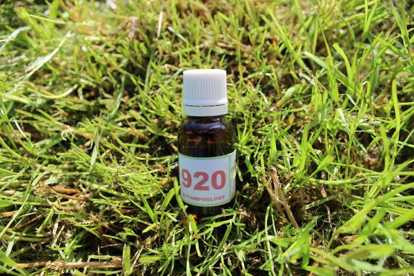 920 Atopies alimentaires