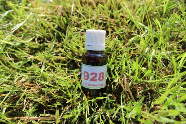 928 Circulation des énergies