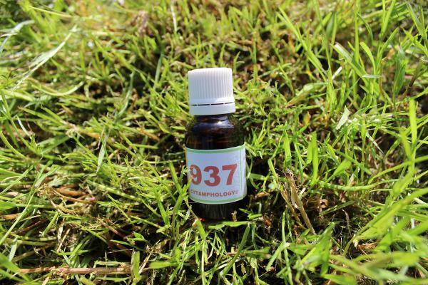 937 Equilibre de la fonction pancréatique