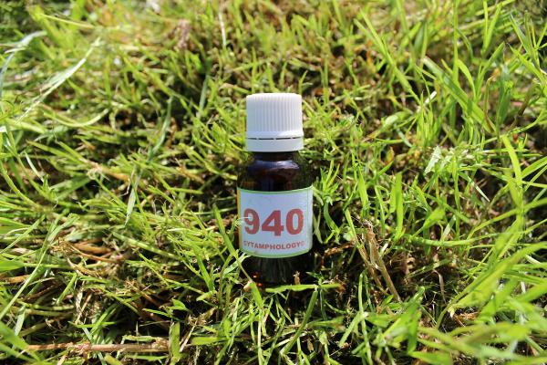 940 cryptosporidiose