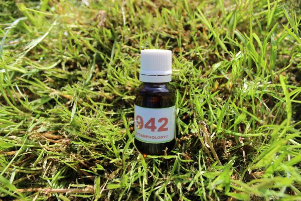 942 Faiblesse hépatique