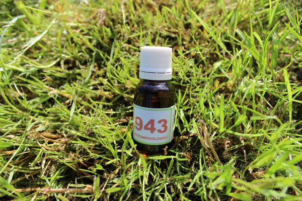 943 Renfort des ligamens