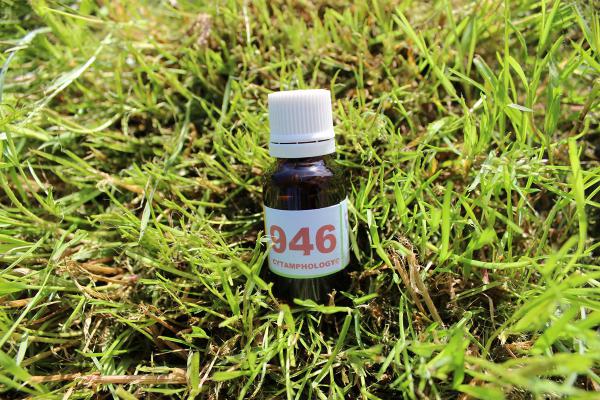 946 Insuffisance rénale