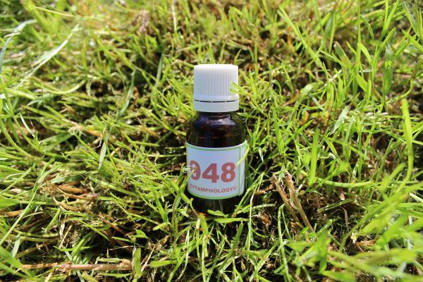 948 Tumeurs et excroissances osseuses