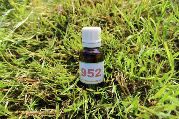 952 Système cardio-vasculaire