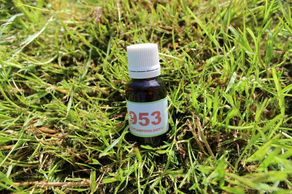 953 Système locomoteur