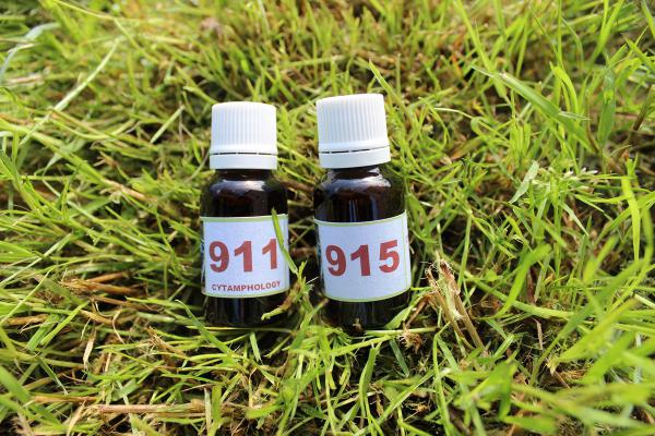 915 + 911 Proventriculite ou PDD