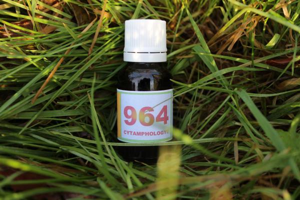 964 Dépôt protéinique au niveau des muqueuses