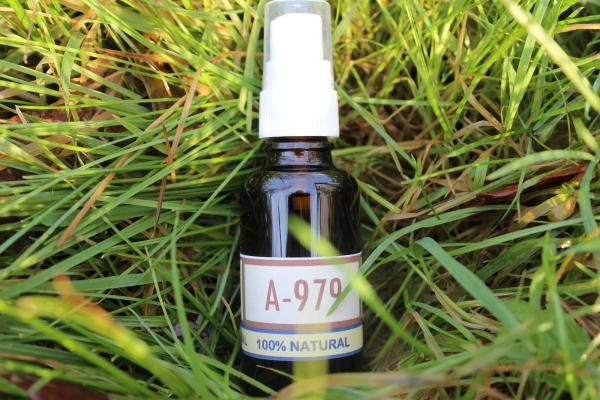 A-979 La pourriture profonde de la fouchette