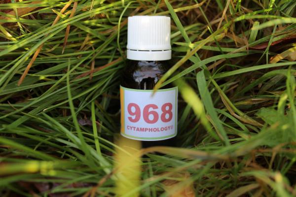 968 Cushing (Chevaux)