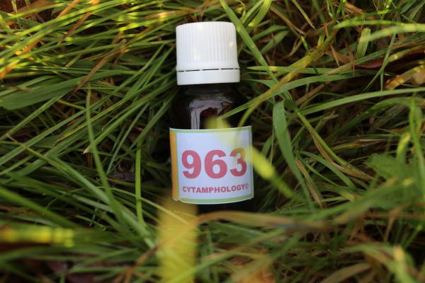 963 Répartition des énergies