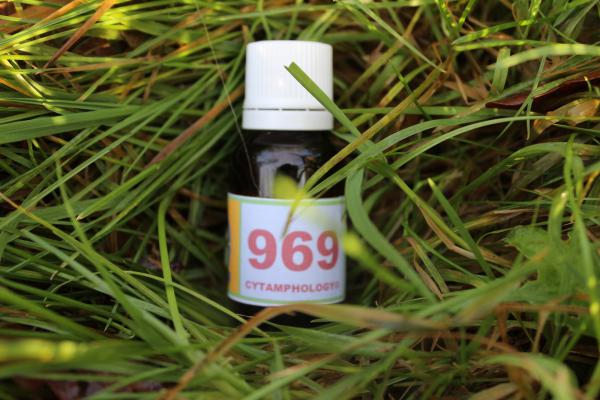 969 Syndrome métabolique équin