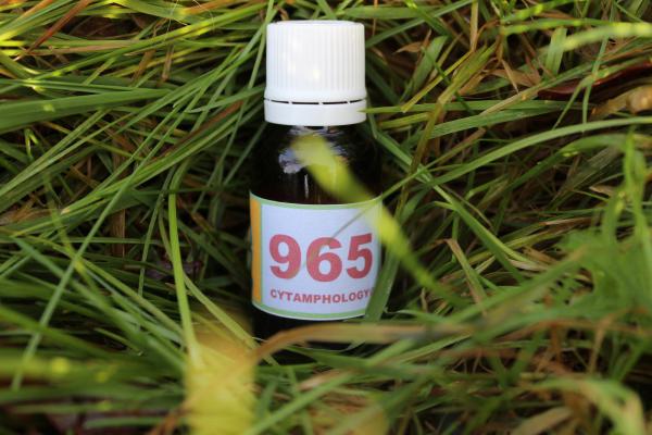 965 Régulation de l'appétit