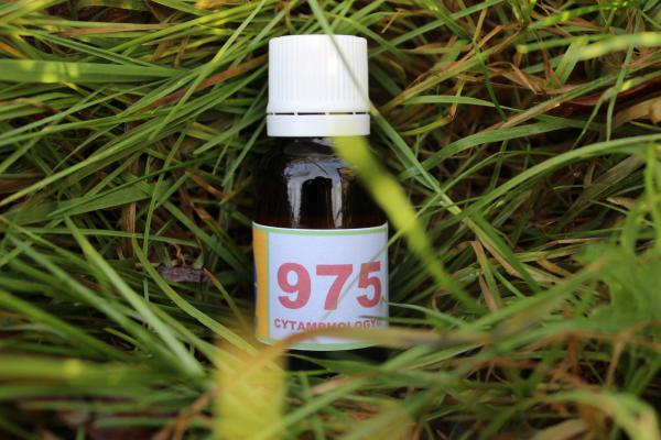 975 Hypo-Thyroïdie (1)