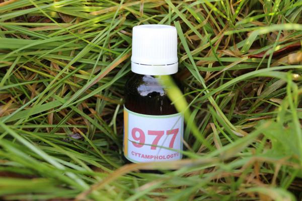 977 Hypo-Thyroïde (2)