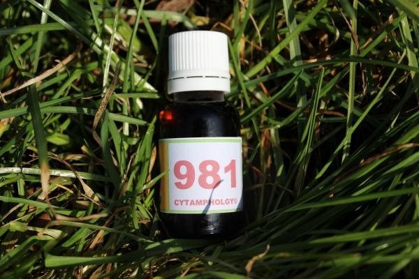 981 La régénérescence pour mammifères