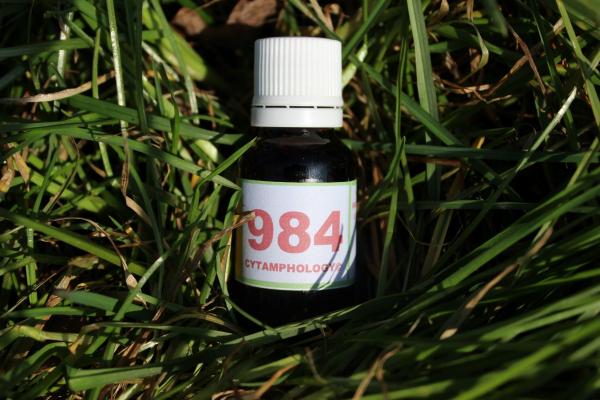 984 Le cristallin de l'oeil pour mammifères et oiseaux