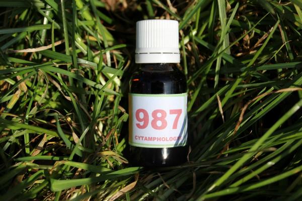 987 Le glaucome pour mammifères et oiseaux